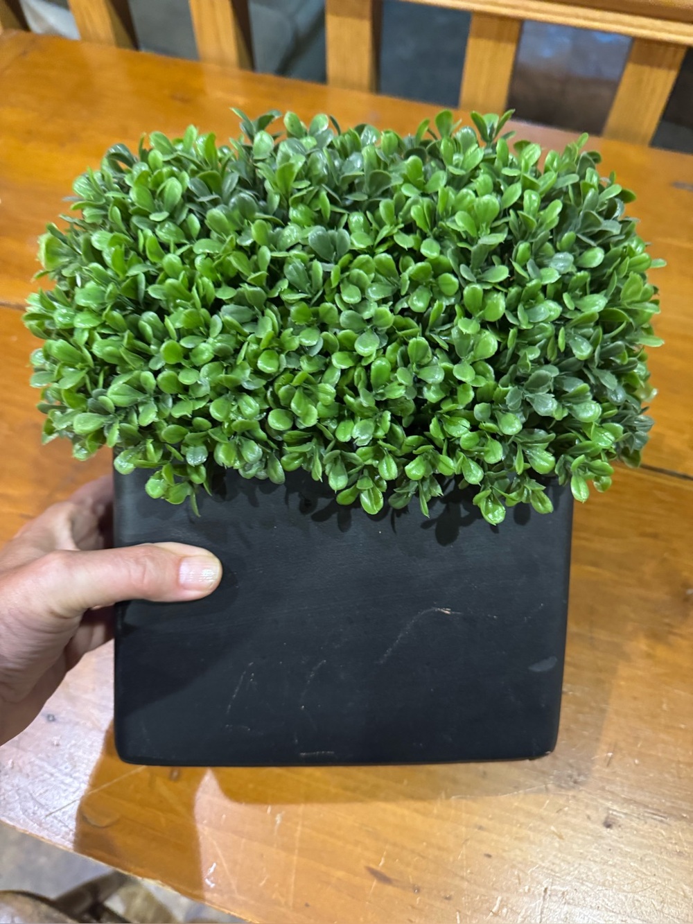 Faux Boxwood in brownish/black container